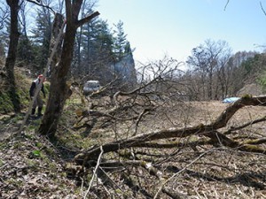 活動拠点「森もり館」を手づくりで