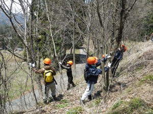 みんなの森づくり講座(山仕事体験講座)