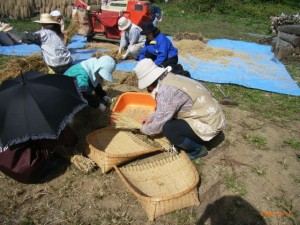 棚田の米を脱穀、みんなで新米を味わう収穫祭