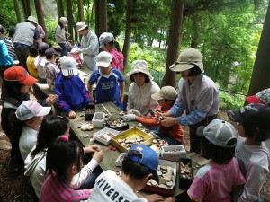 子供たちのクラフト材料にも活用しました