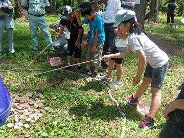 なかなか難しい木の魚釣り