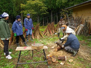 目立したチェーンソーで玉切りです