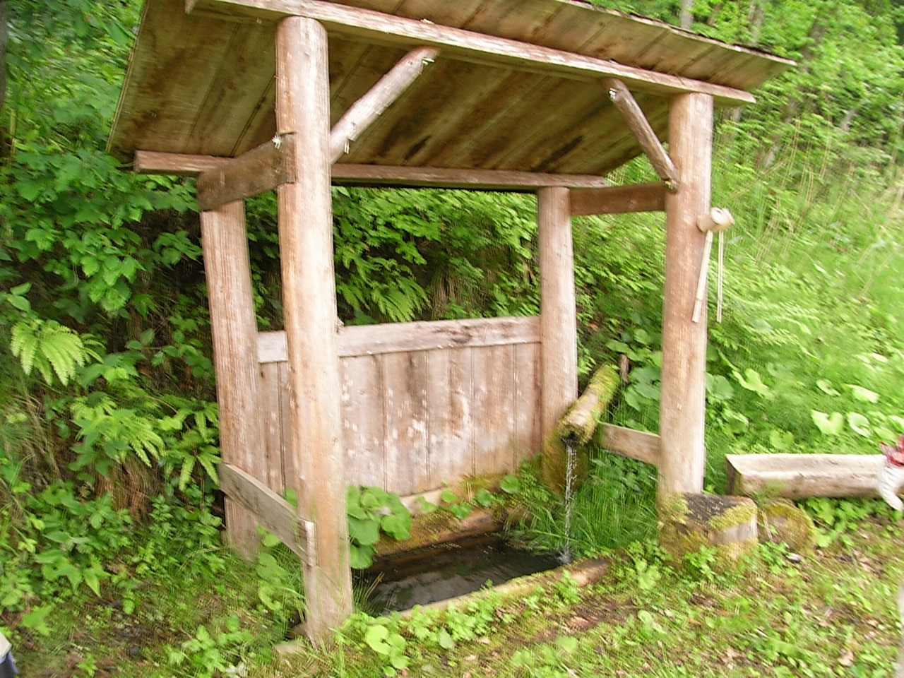 里山の古道を整備してトレッキングを楽しもう